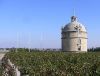 Vin de Pauillac et vin de Saint Estphe