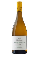 Bordeaux Blanc - Château<br>Castera "Anthoinette"